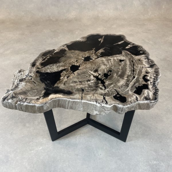 Couchtisch aus versteinertem Holz - Schwarz #481B21