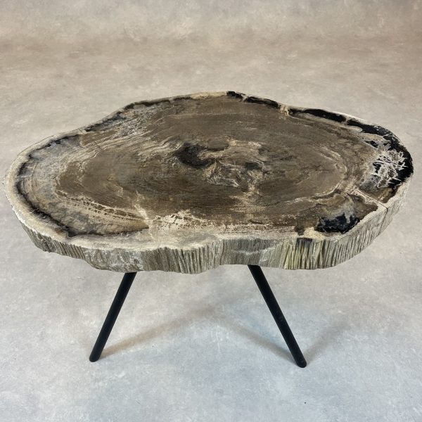 Couchtisch aus versteinertem Holz - Mix #163B17 – Bild 2