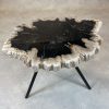 Couchtisch aus versteinertem Holz - Mix #61B5