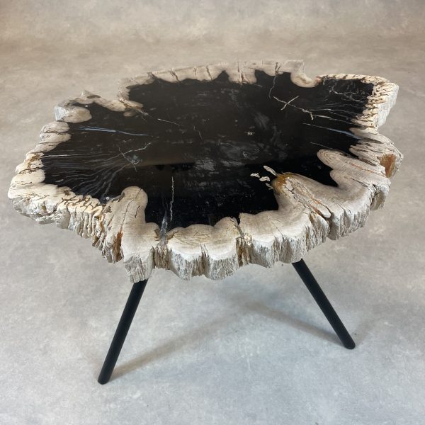 Couchtisch aus versteinertem Holz - Mix #61B5