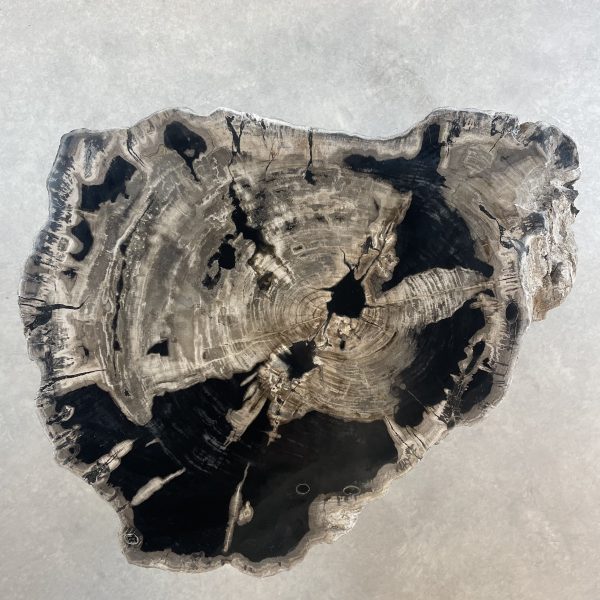 Couchtisch aus versteinertem Holz - Schwarz #481B21 – Bild 2