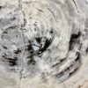Couchtisch aus versteinertem Holz