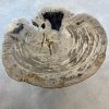 Couchtisch aus versteinertem Holz - Mix #440B7 – Bild 2