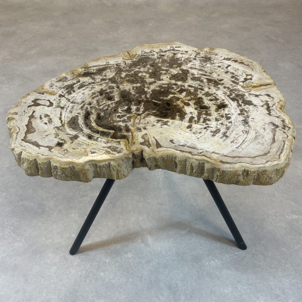 Couchtisch aus versteinertem Holz - Mix #259B1 – Bild 2