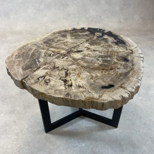 Versteend hout salontafel