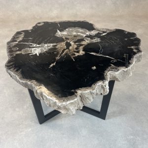 Couchtisch aus versteinertem Holz