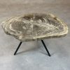Couchtisch aus versteinertem Holz - Beige #215B20