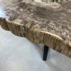 Versteend hout salontafel