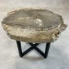 Couchtisch aus versteinertem Holz