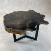 Couchtisch aus versteinertem Holz