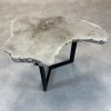 Couchtisch aus versteinertem Holz - Beige #297B11