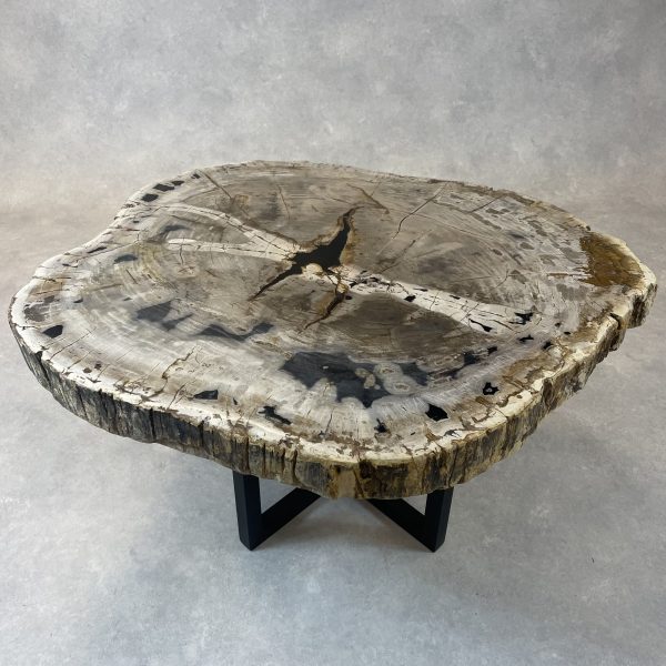 Couchtisch aus versteinertem Holz - Mix #437B8