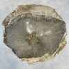 Couchtisch aus versteinertem Holz