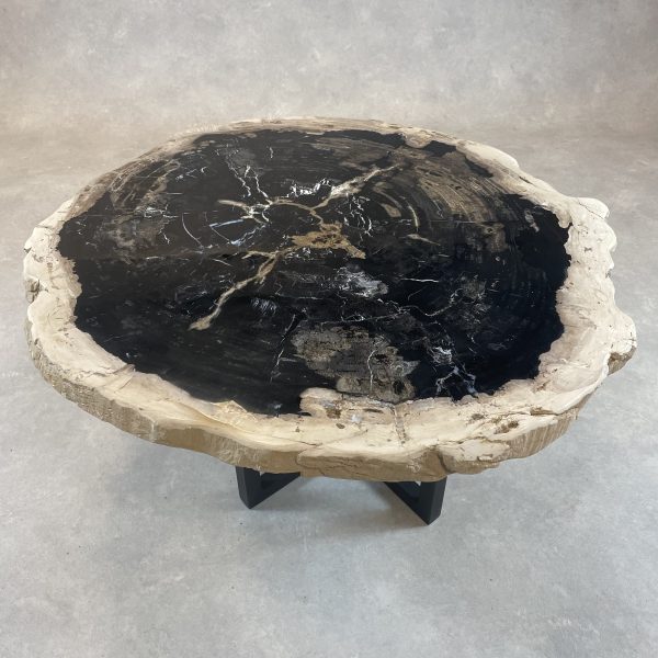 Couchtisch aus versteinertem Holz - Mix #279B15