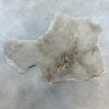 Couchtisch aus versteinertem Holz - Beige #297B11 – Bild 2