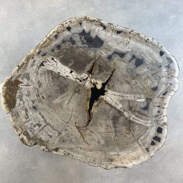 Couchtisch aus versteinertem Holz - Mix #437B8 – Bild 3