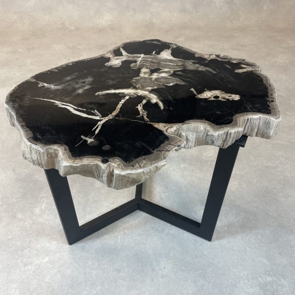 Versteend hout salontafel