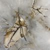 Couchtisch aus versteinertem Holz - Beige #297B11 – Bild 3