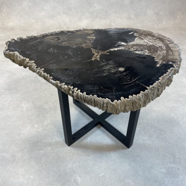 Couchtisch aus versteinertem Holz