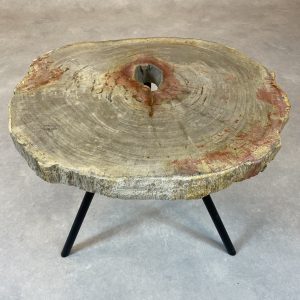 Versteend hout salontafel