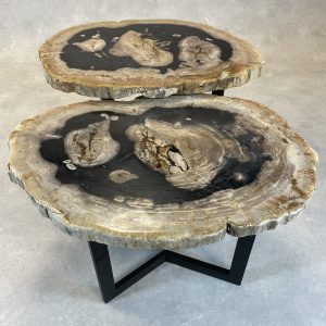 Couchtisch aus versteinertem Holz