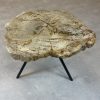 Versteend hout salontafel