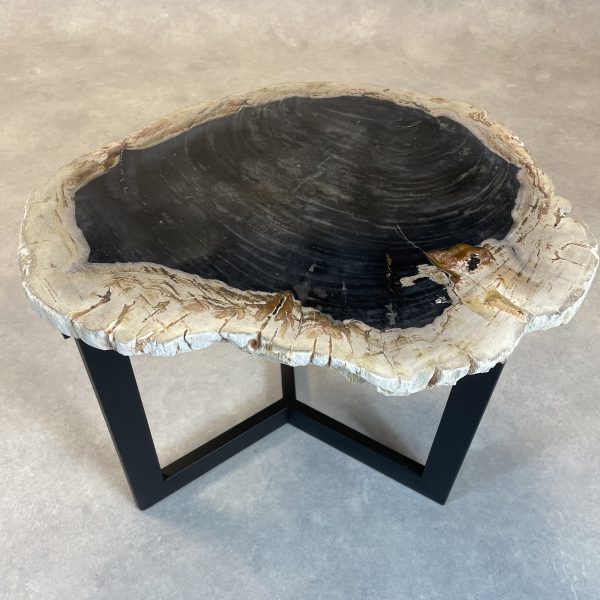 Couchtisch aus versteinertem Holz - Schwarz #194B7
