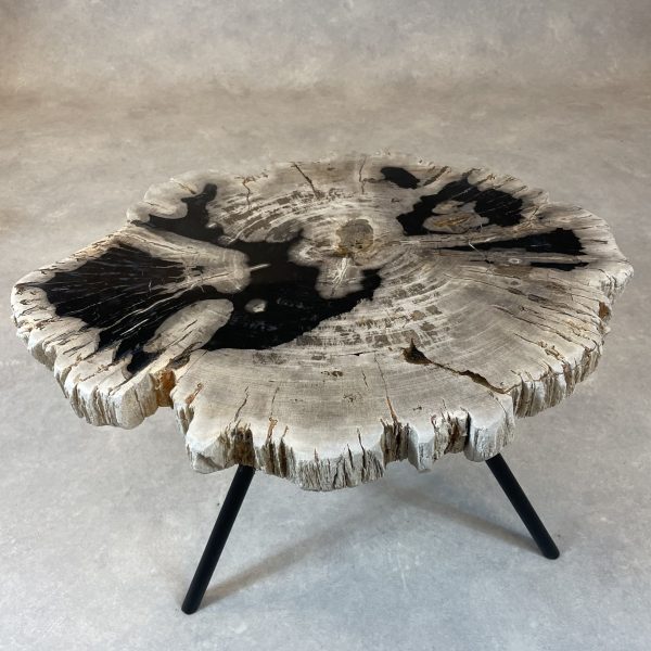 Versteend hout salontafel
