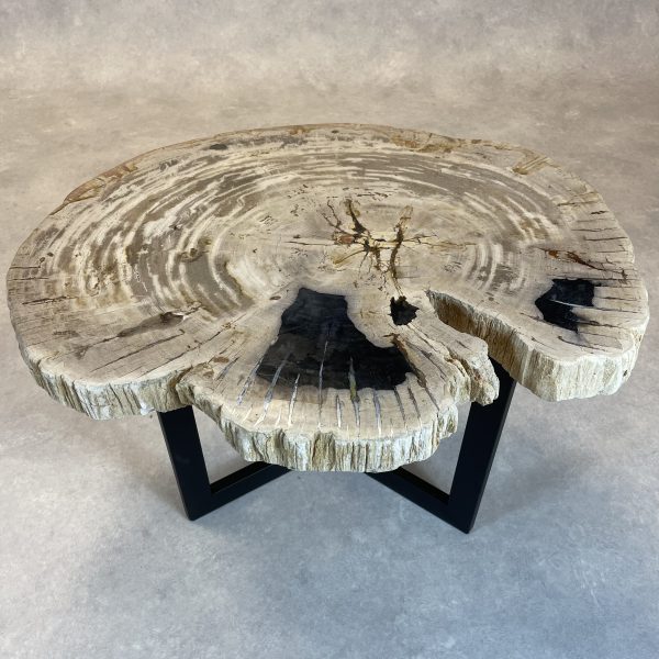 Couchtisch aus versteinertem Holz - Mix #440B7