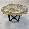 Couchtisch aus versteinertem Holz