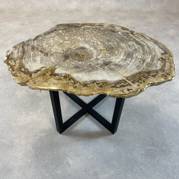 Couchtisch aus versteinertem Holz