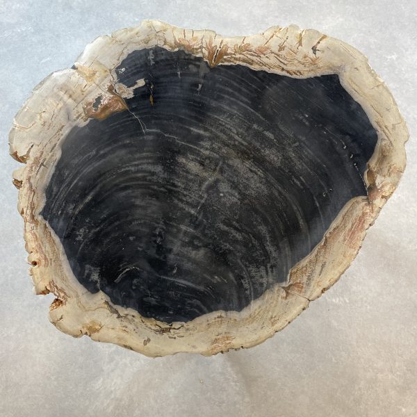 Couchtisch aus versteinertem Holz - Schwarz #194B7 – Bild 2
