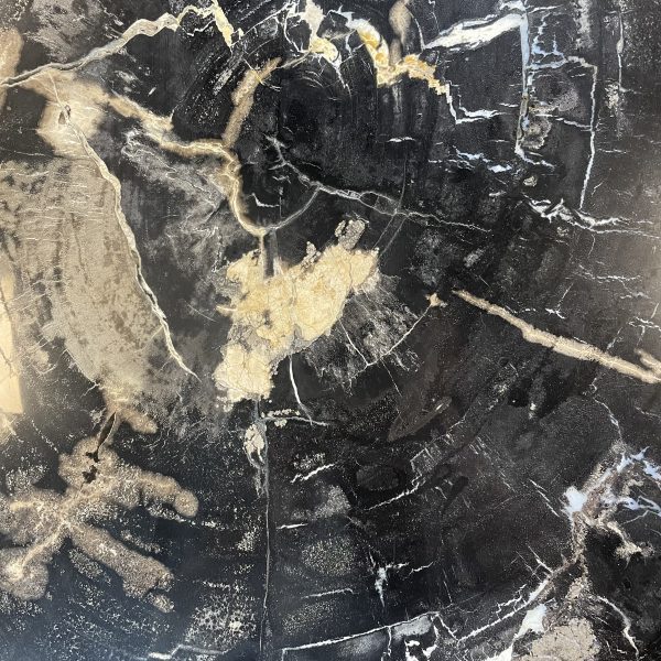 Couchtisch aus versteinertem Holz