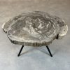 Couchtisch aus versteinertem Holz - Beige #170B17 – Bild 2