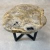 Couchtisch aus versteinertem Holz - Beige #246B19