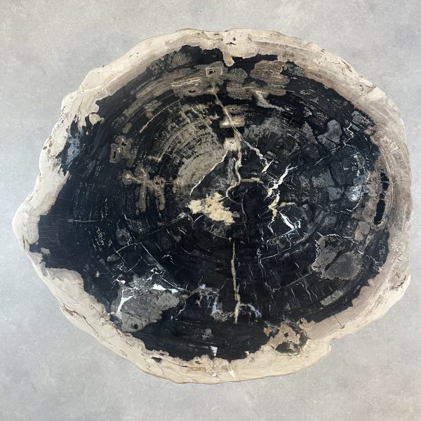 Couchtisch aus versteinertem Holz