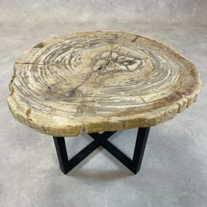 Versteend hout salontafel