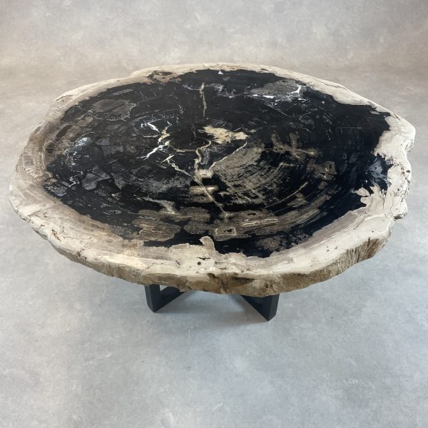 Couchtisch aus versteinertem Holz
