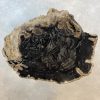 Couchtisch aus versteinertem Holz - Mix #86B7 – Bild 2