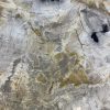 Couchtisch aus versteinertem Holz - Beige #246B19 – Bild 3