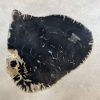 Couchtisch aus versteinertem Holz - Schwarz #87B5 – Bild 2