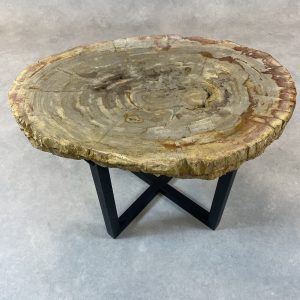 Versteend hout salontafel