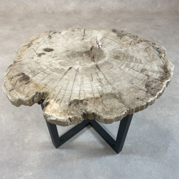 Versteend hout salontafel