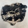 Couchtisch aus versteinertem Holz - Mix #489B21