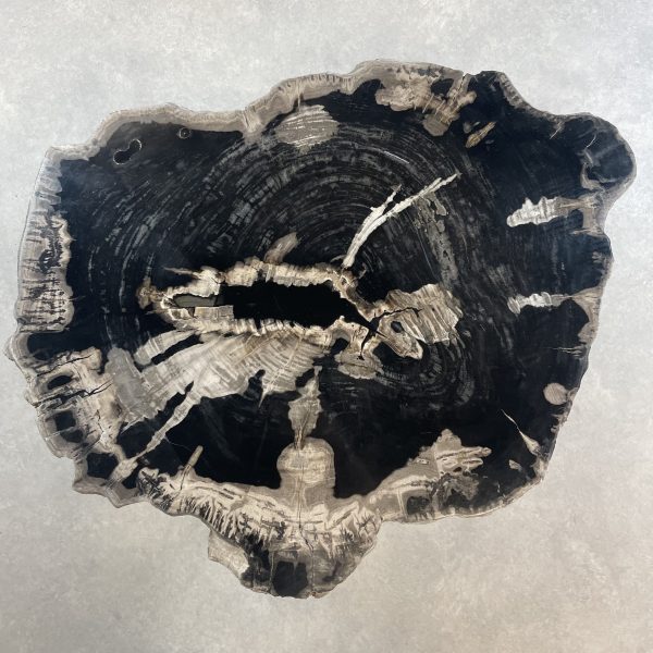 Couchtisch aus versteinertem Holz - Mix #489B21