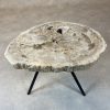 Versteend hout salontafel
