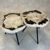 Couchtisch aus versteinertem Holz - Mix #30B7