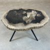 Couchtisch aus versteinertem Holz - Mix #11B1 – Bild 3