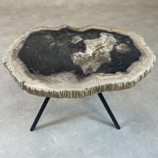 Couchtisch aus versteinertem Holz - Mix #11B1 – Bild 3