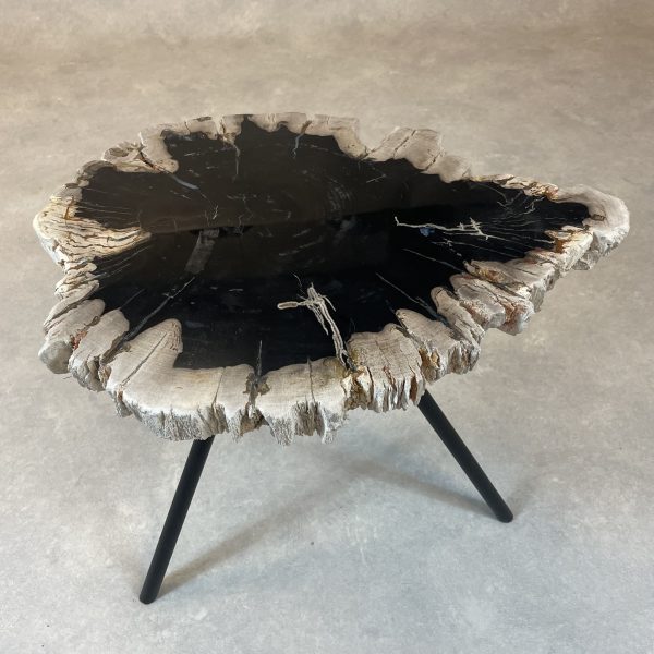 Versteend hout salontafel